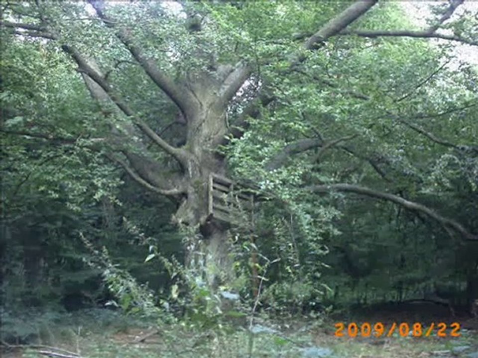 So Lange es Menschen gibt . ' Die Sonnenkinder'