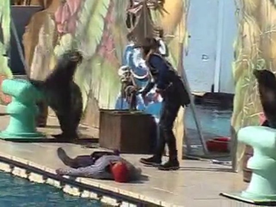 Marineland antibes mars 2009 1