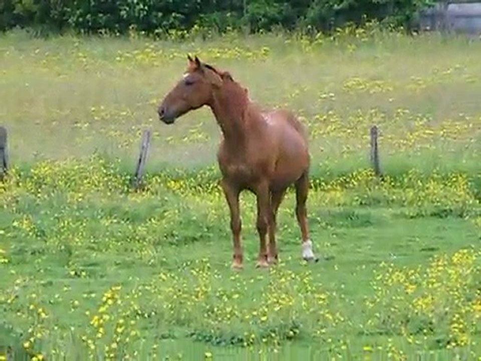 Fryda au retour de Sapri' juin2010