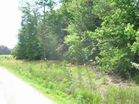 vacant land for sale, vacant land for sale Louisa