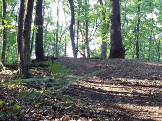 vtt freeride amateur