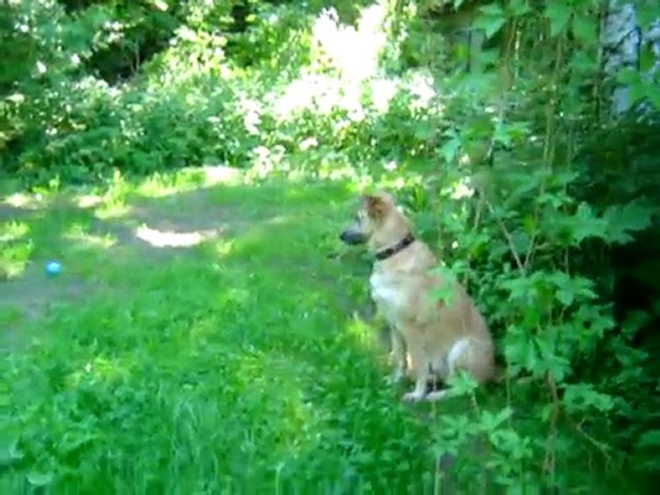 Sybelle et sa nouvelle balle