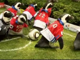 Sports News for June 4th, 2010