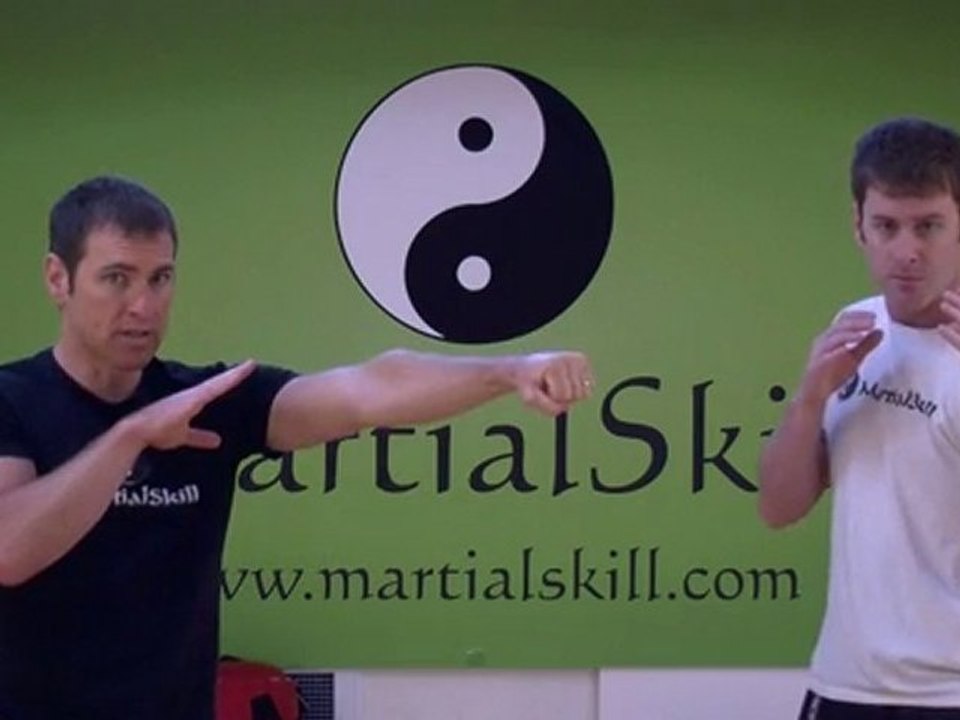 7 Star Mantis Kung Fu: Basic Kung Fu Punching Techniques