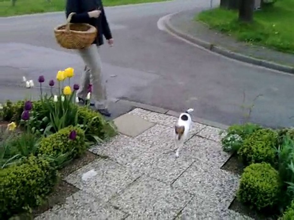 2010_05_11_Hundealltag_oder Marion ist da