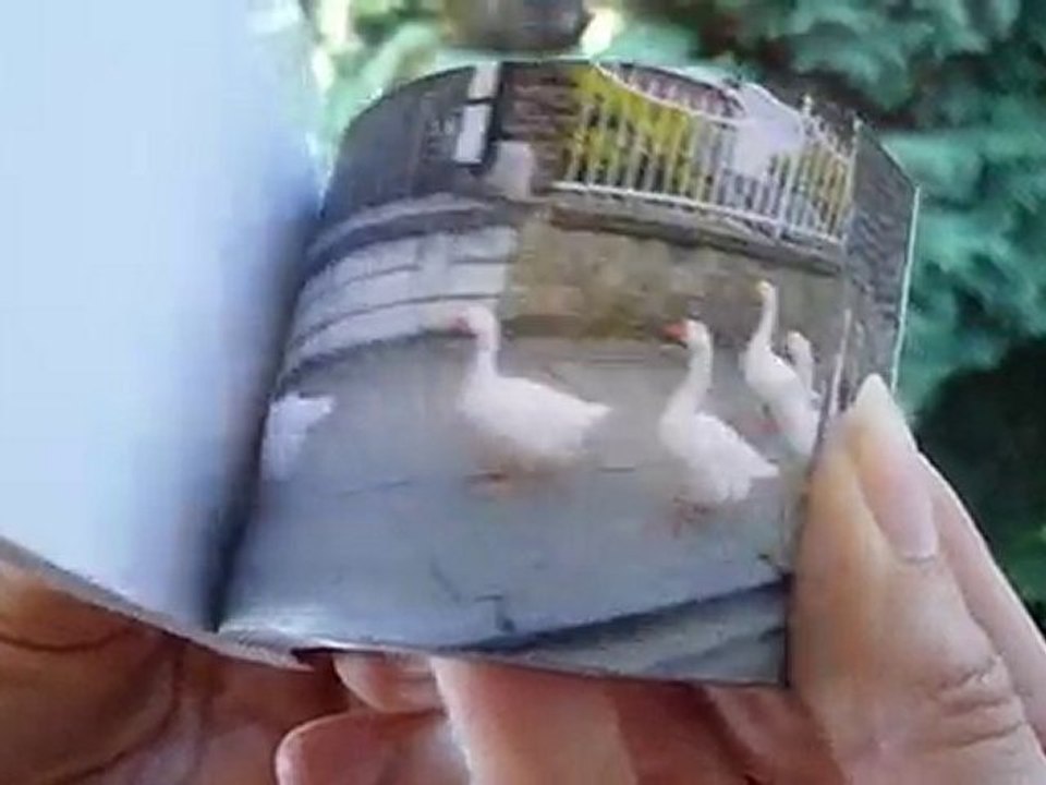 Flipbook