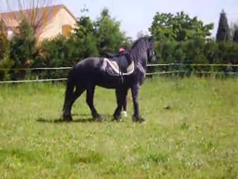 sirius et les étriers