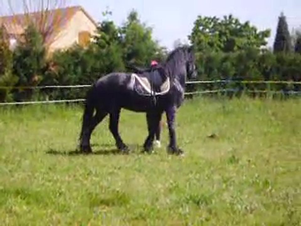 sirius et les étriers