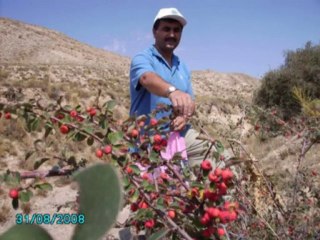 Kavlak Köyü Resmi Sitesi Sunar