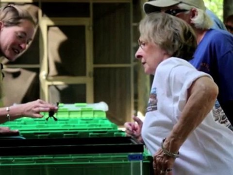 Edisto Island Turtle Fest - Charleston, SC Events