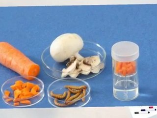 Sciencethic SVT 2010