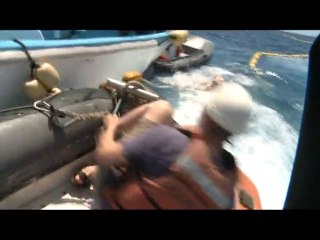 Des militants de Greenpeace violemment agressés en mer