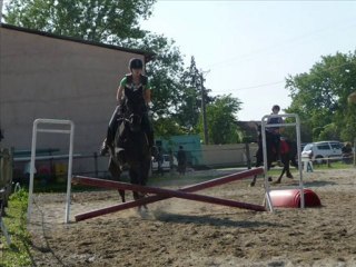 hommage à mes loulous !!!