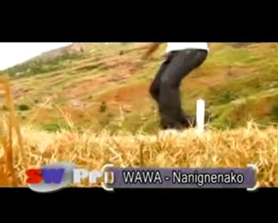 WAWA - nanignenako