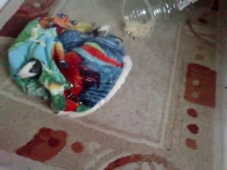 pouic pire qu un accouchement lol