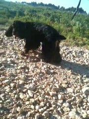 dao ballade dans la colline juin