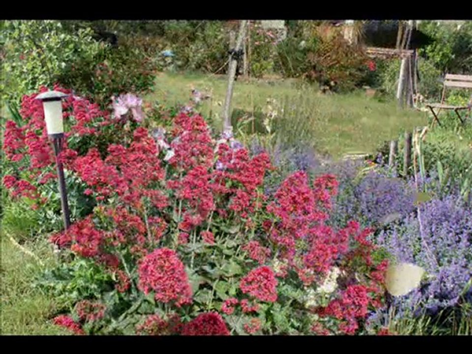 Mon jardin au mois de mai