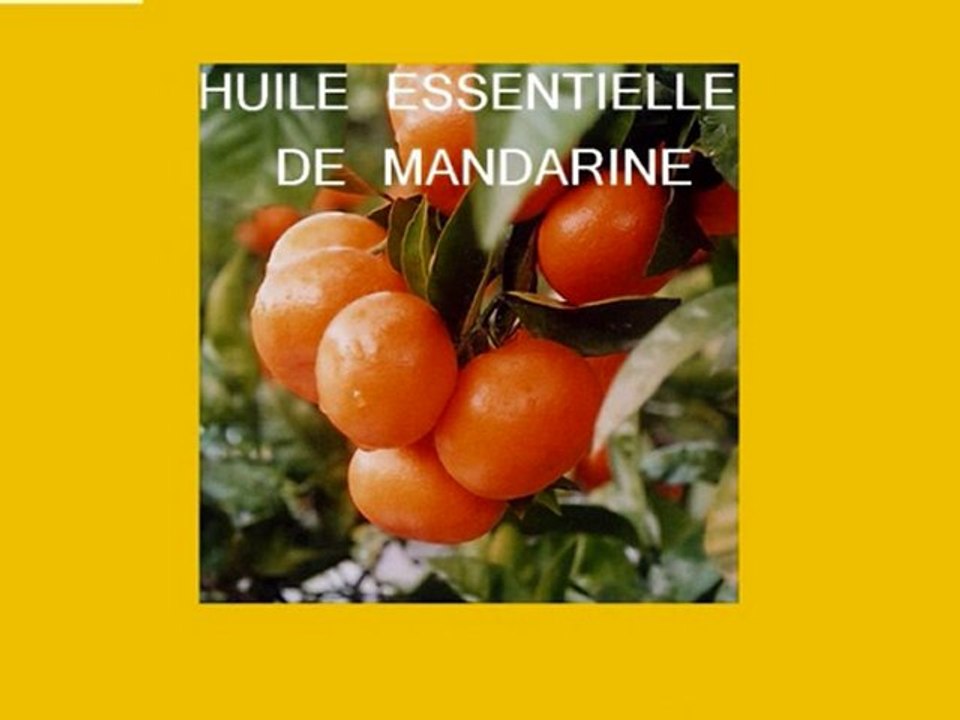MES HUILES ESSENTIELLES