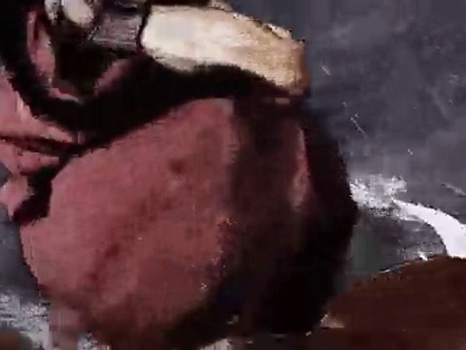 Ryu vs Ken ssf4