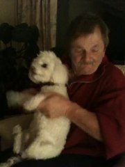 Drumming Dog - Playback "Here I Am" UB40