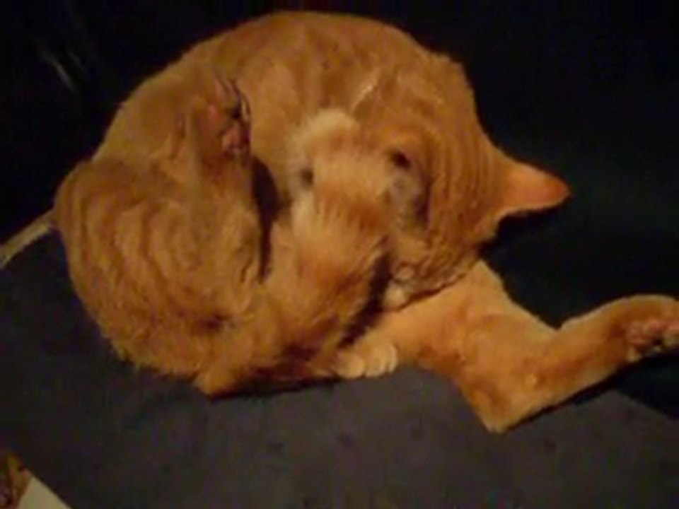 les envahisseurs 009