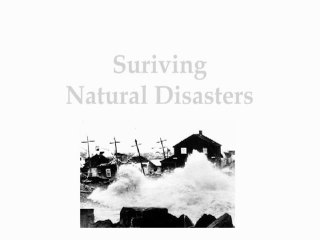 The Art of Urban Survival