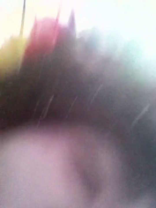 teuf action festive sarthe