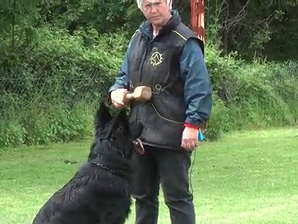 bawl des orckis de l'adret