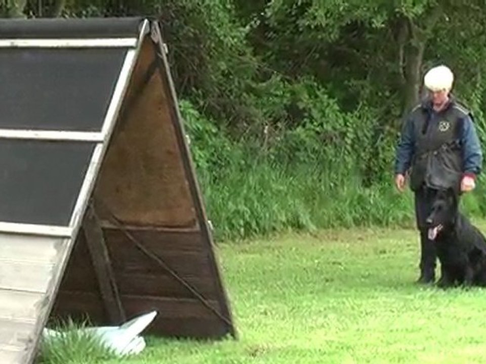 bawl des orckis de l'adret