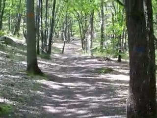 VTT FREERIDE ESSONNE