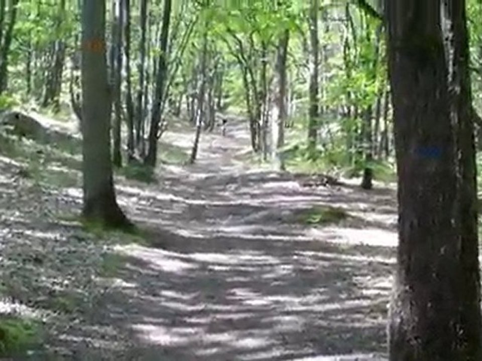 VTT FREERIDE ESSONNE