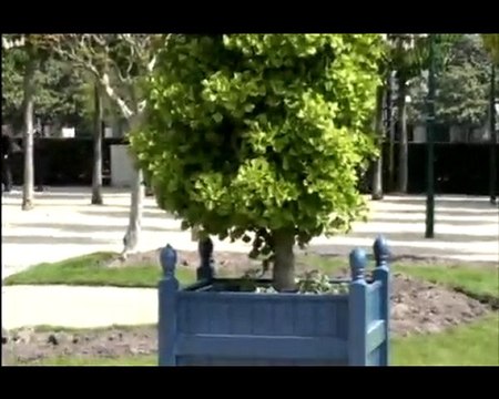 campagne 2010 - BDE Electrochoc