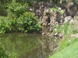 CANARDS