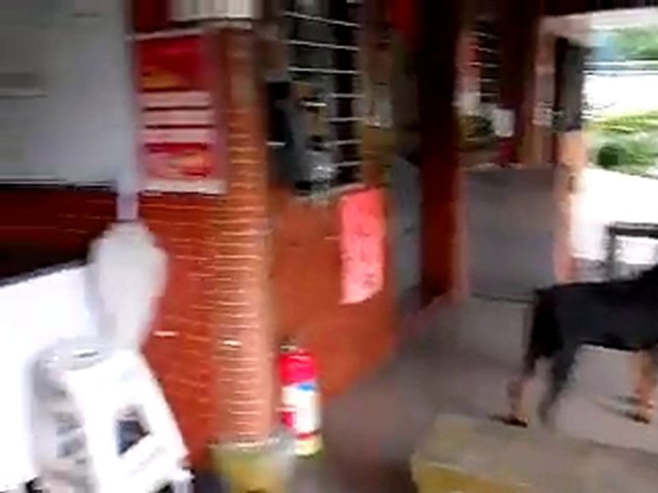 SDC10458