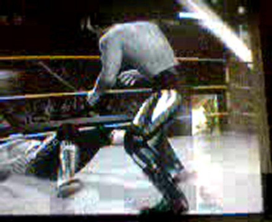 Bret Hart vs Terry Funk Only Wrestling