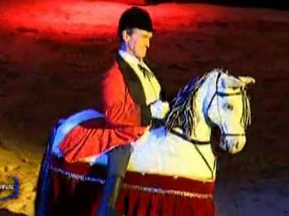 Programmation culturelle pour l'été (Vendée)