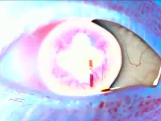 Splice - Bande annonce :