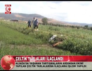 aliağa'da çeltik tarlaları ilaçlandı