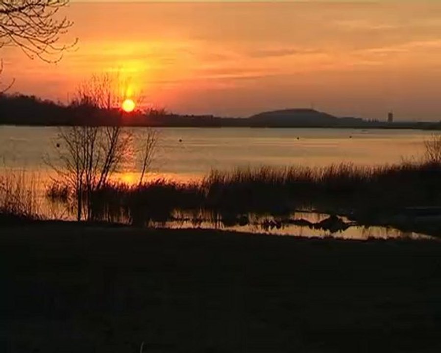 Parcours d'aventure en hauteur