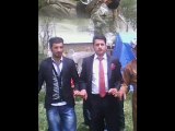 yüksekova düğünleri ömer kara