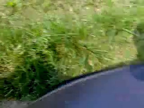 Premier démarrage Polini Corsa