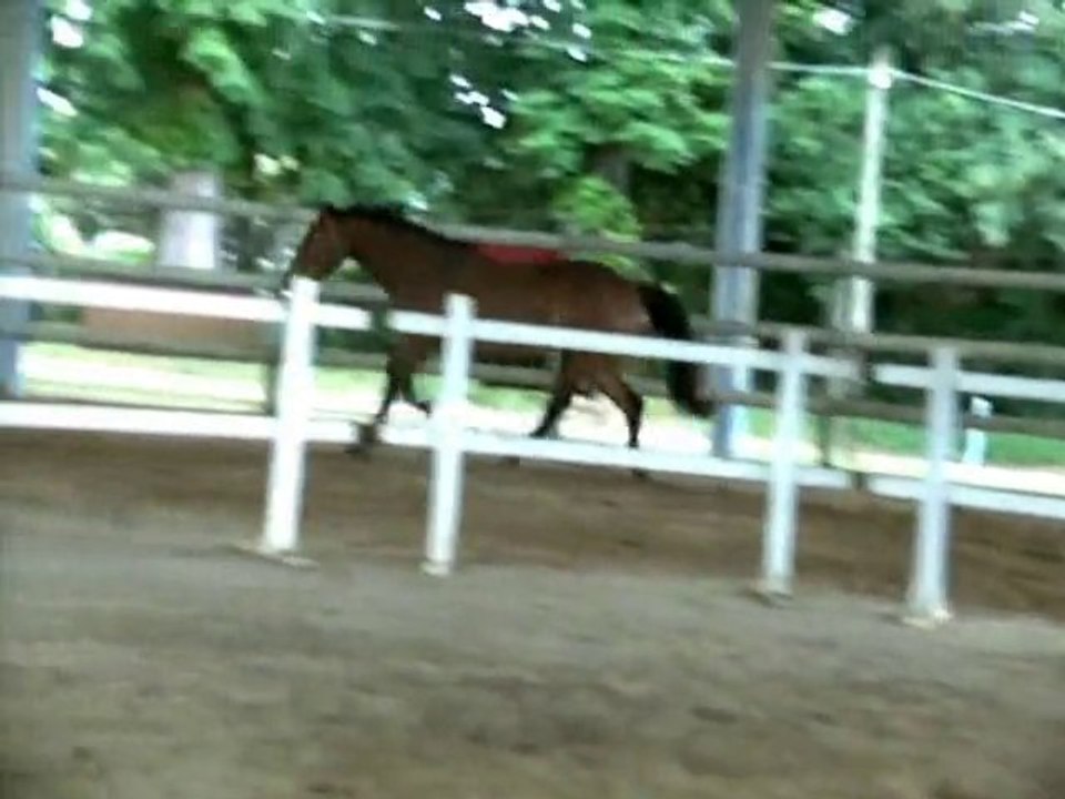 Tabata de la Treille