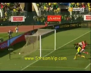 South Africa Vs Denmark [1-0] All Goals & Highlights