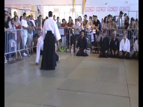 Demonstration d'Aikido au Japanîmes 2010