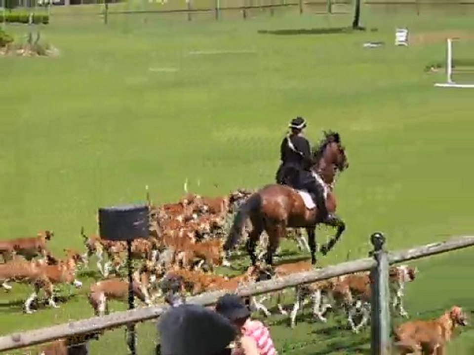 Madame de Jessé FONTAINEBLEAU 2010
