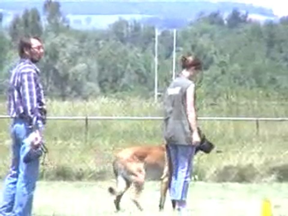 diuke échelon 1 : 188.45 pts