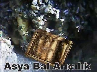 Kayabaşı Karakovan balı