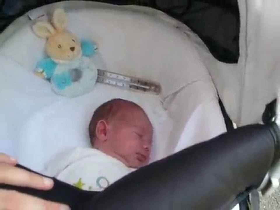 ZOE 2010_06_05 retour du marché aux puces