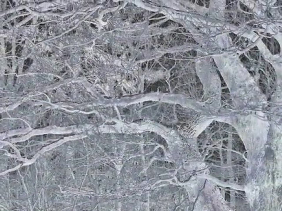 Traurige Melodie - sad music video - Mozart - Lacrimosa