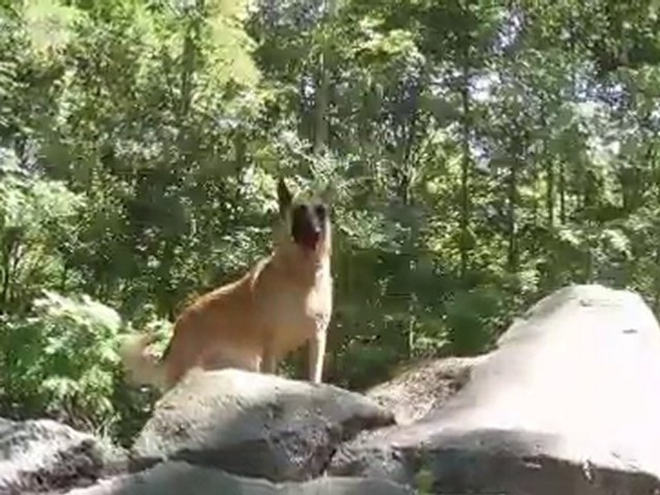 BAIGNADE CKERVA 05062010